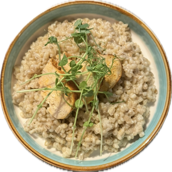 Kuracie na krémovom bryndzovom krupote